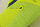 adidas Speed 100 yellow/blue