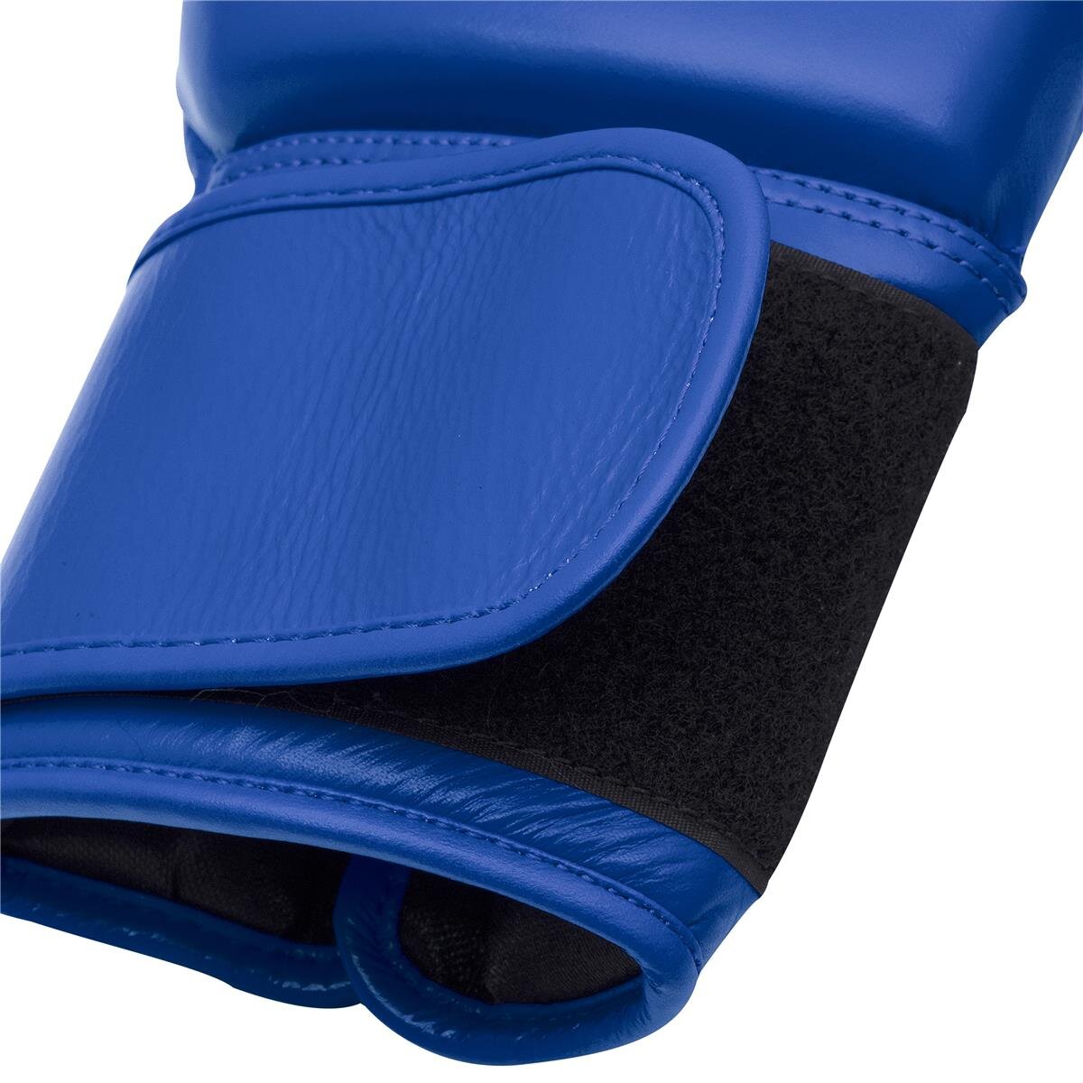 adidas World Boxing Gloves blue