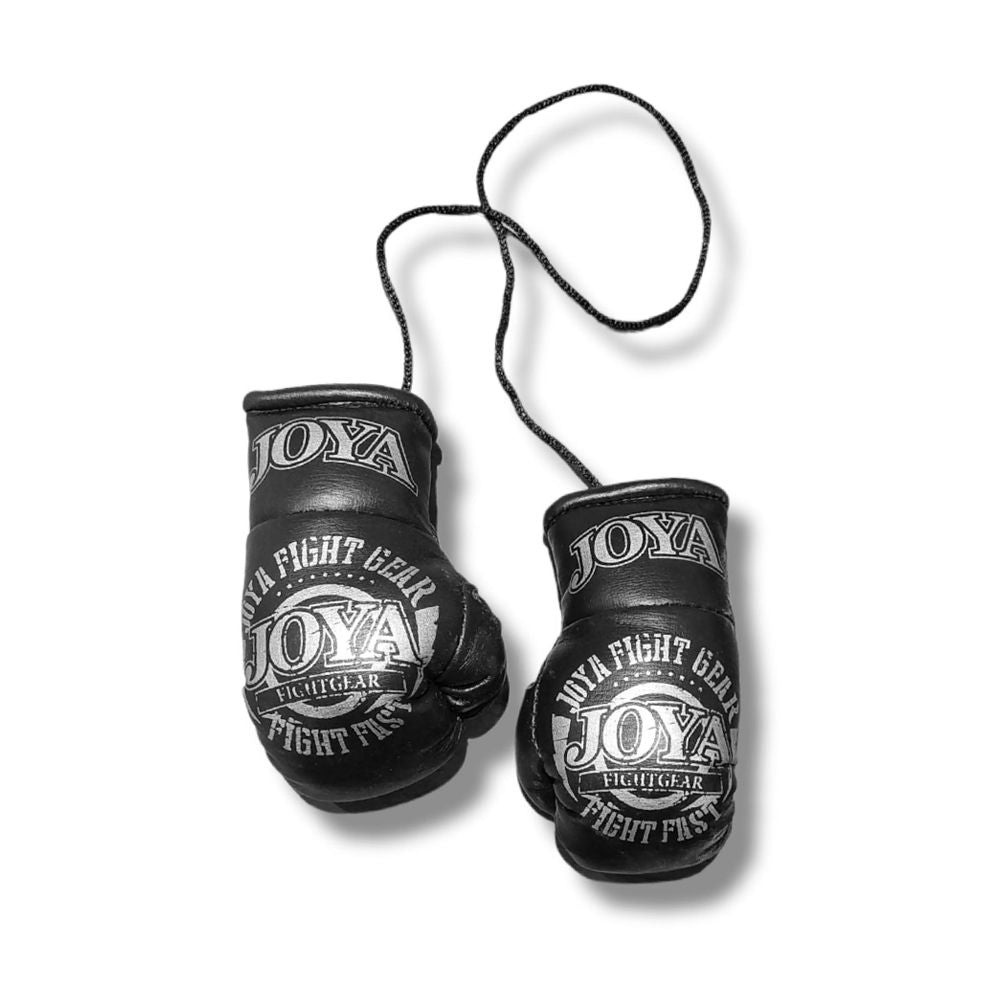 Joya Fight Fast Car Hanger