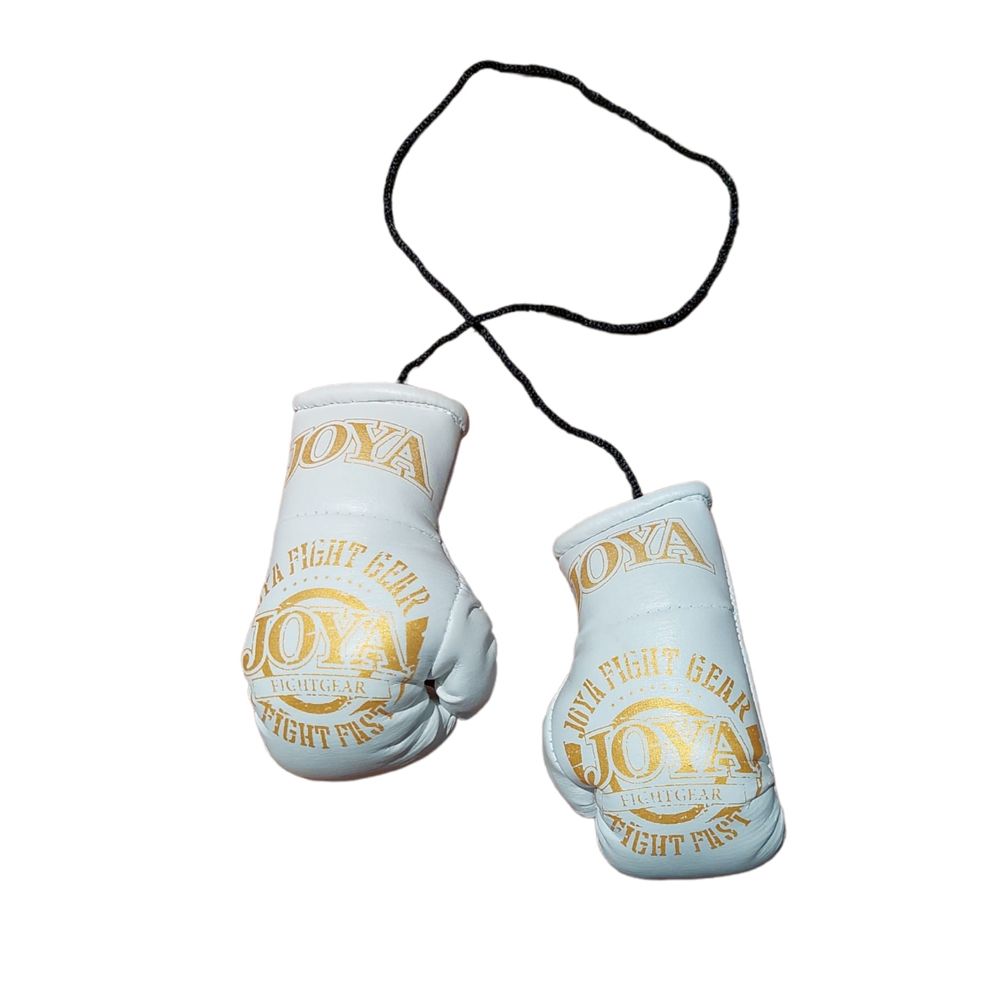 Joya Fight Fast Car Hanger