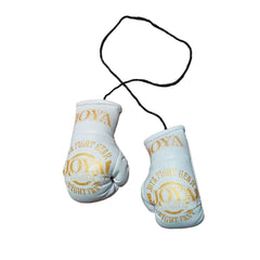 Joya Fight Fast Car Hanger