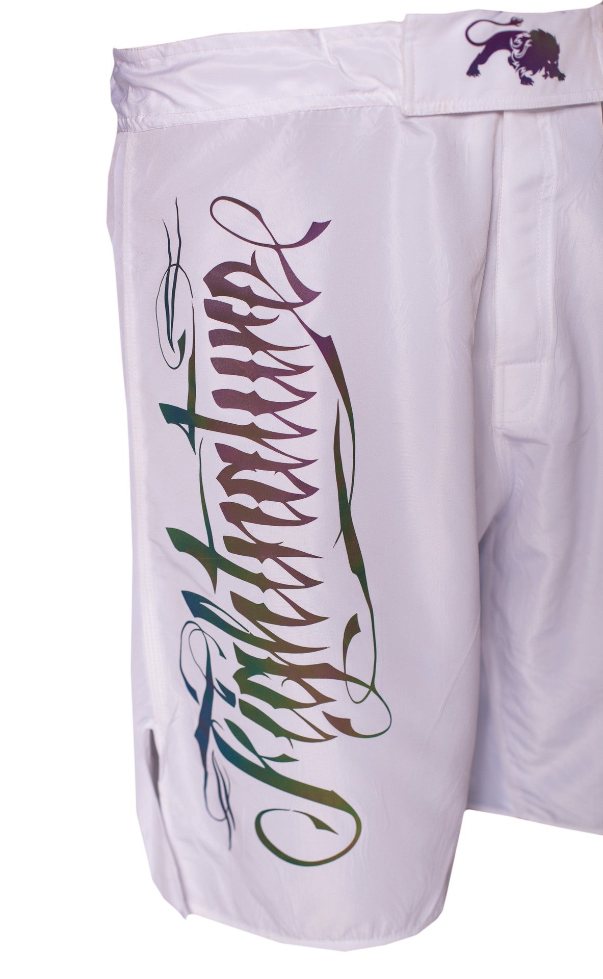 FIGHTNATURE MMA Shorts reflective print