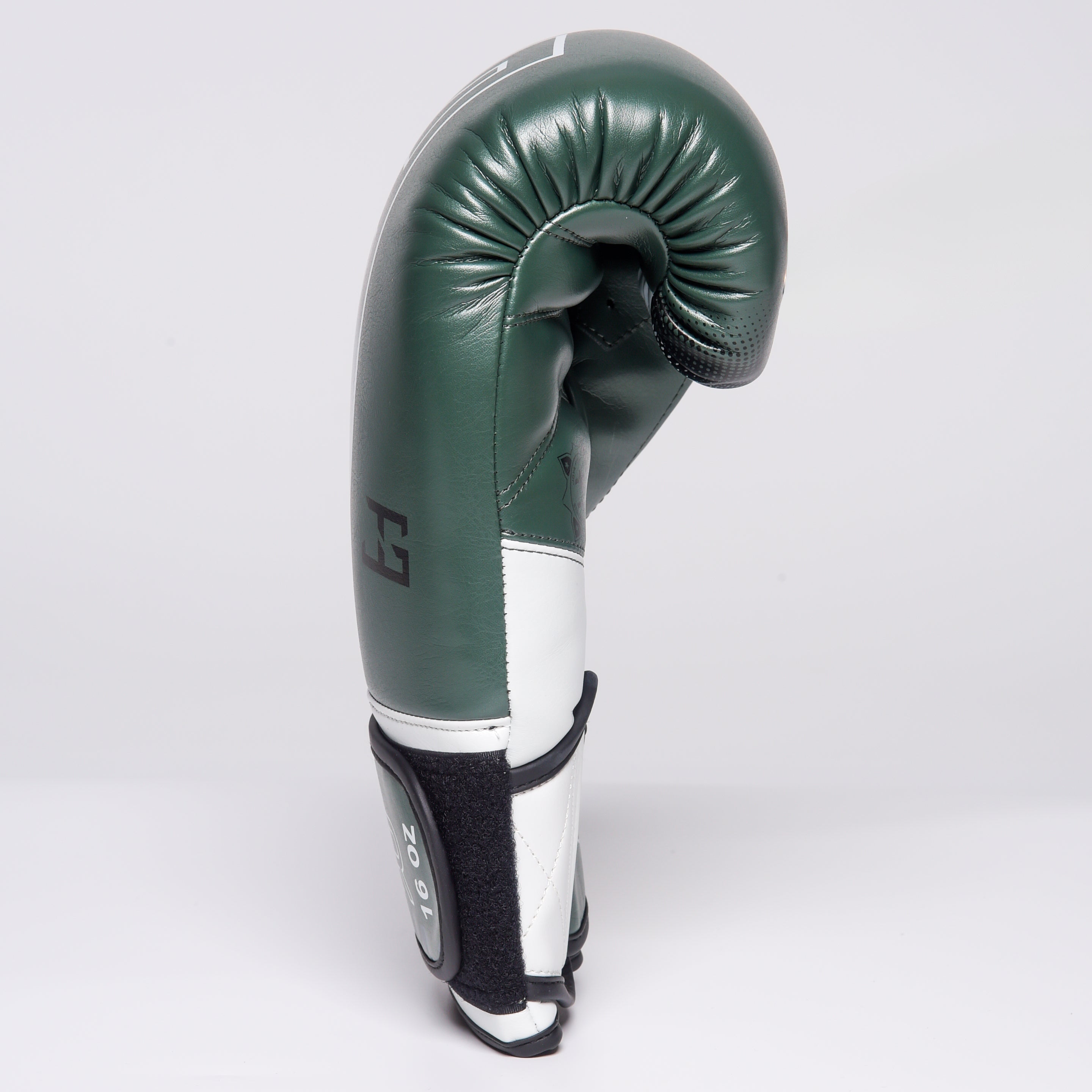 Joyagear Evolution Pro Boxing Gloves Green
