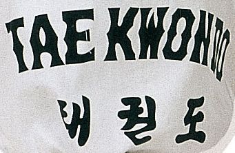 Taekwon-Do Dobok „Taeguk“ (mit Rückenaufdruck)