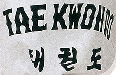 Taekwon-Do Dobok „Taeguk“ (mit Rückenaufdruck)
