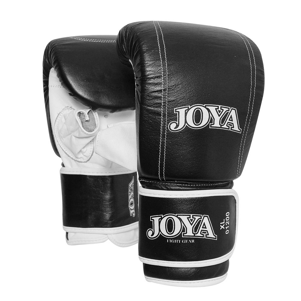 Joya "TITLE" Punching Mitt