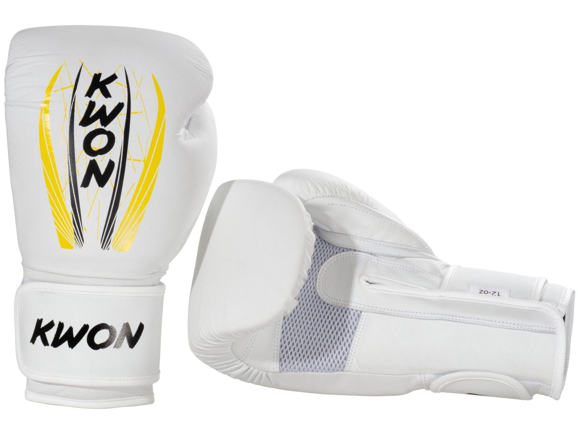 Boxhandschuhe Kick Thai