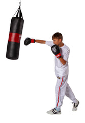 Punching bag Tiger