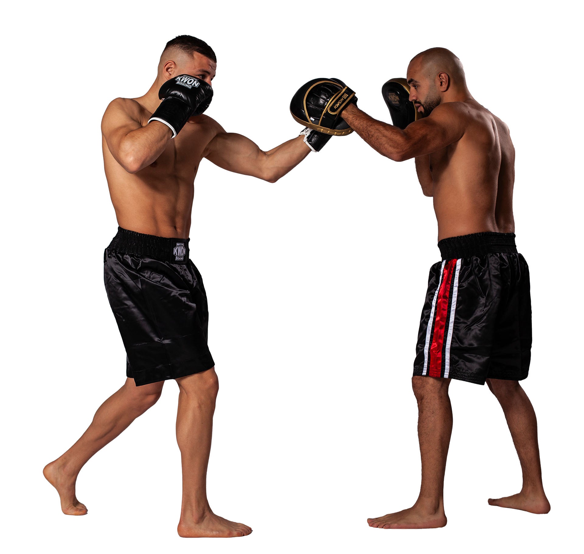 Coaching mitt Ultimate pair