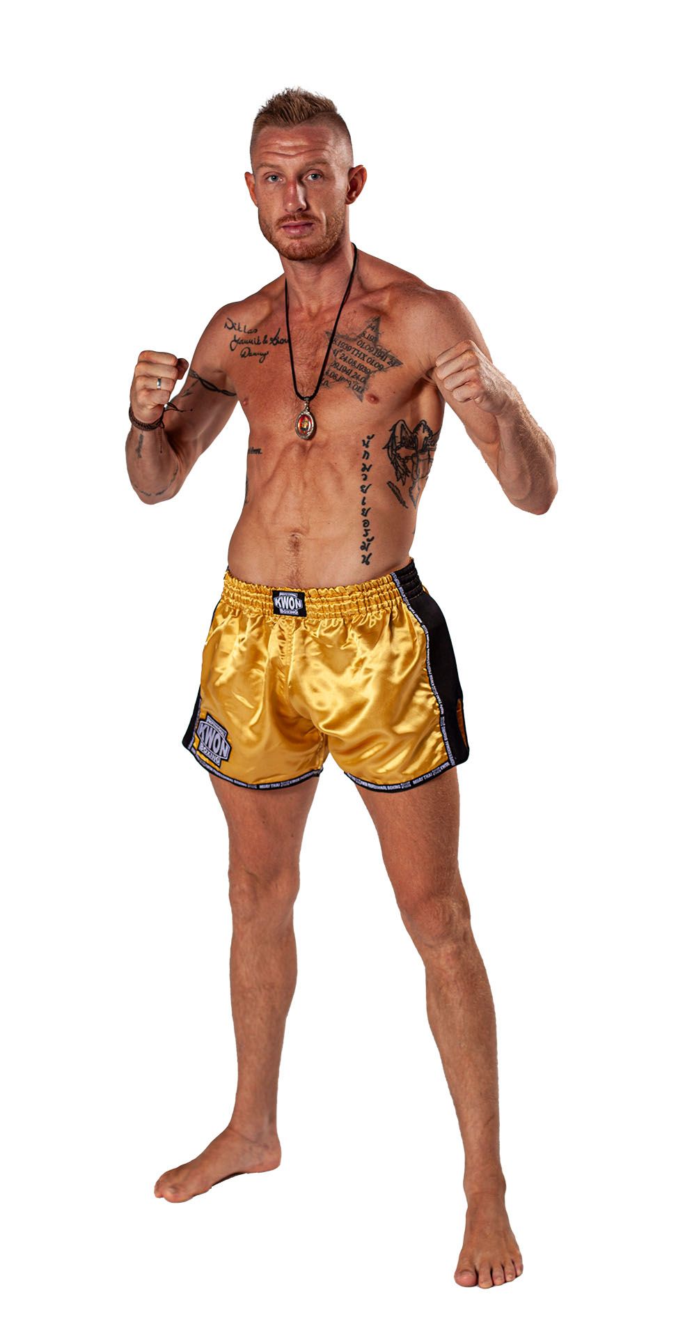 Thai Kick Box Shorts Evolution