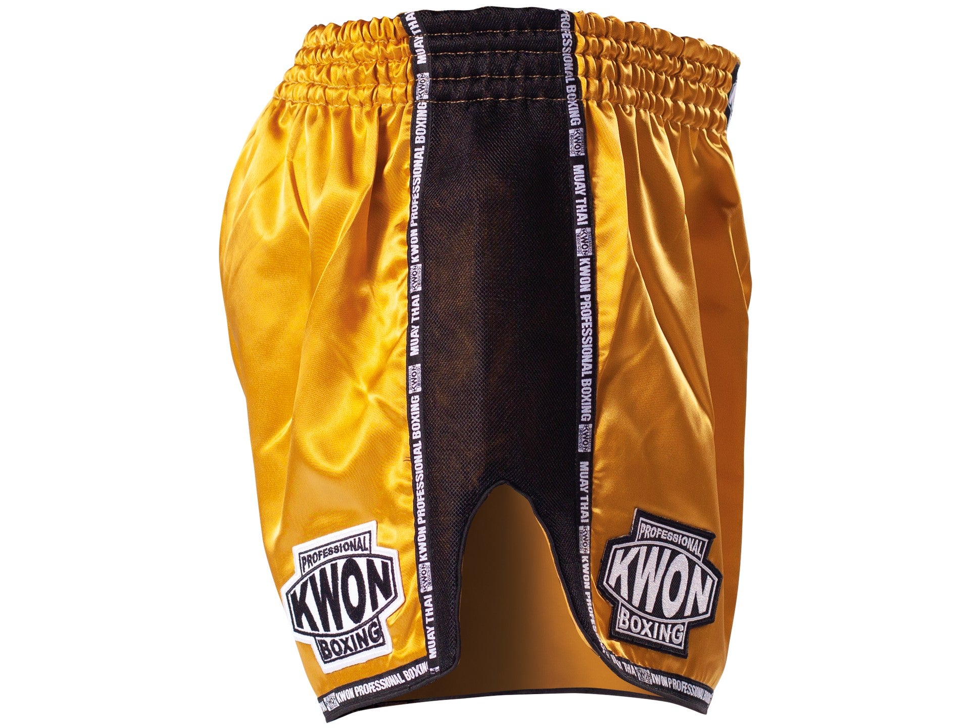 Thai Kick Box Shorts Evolution