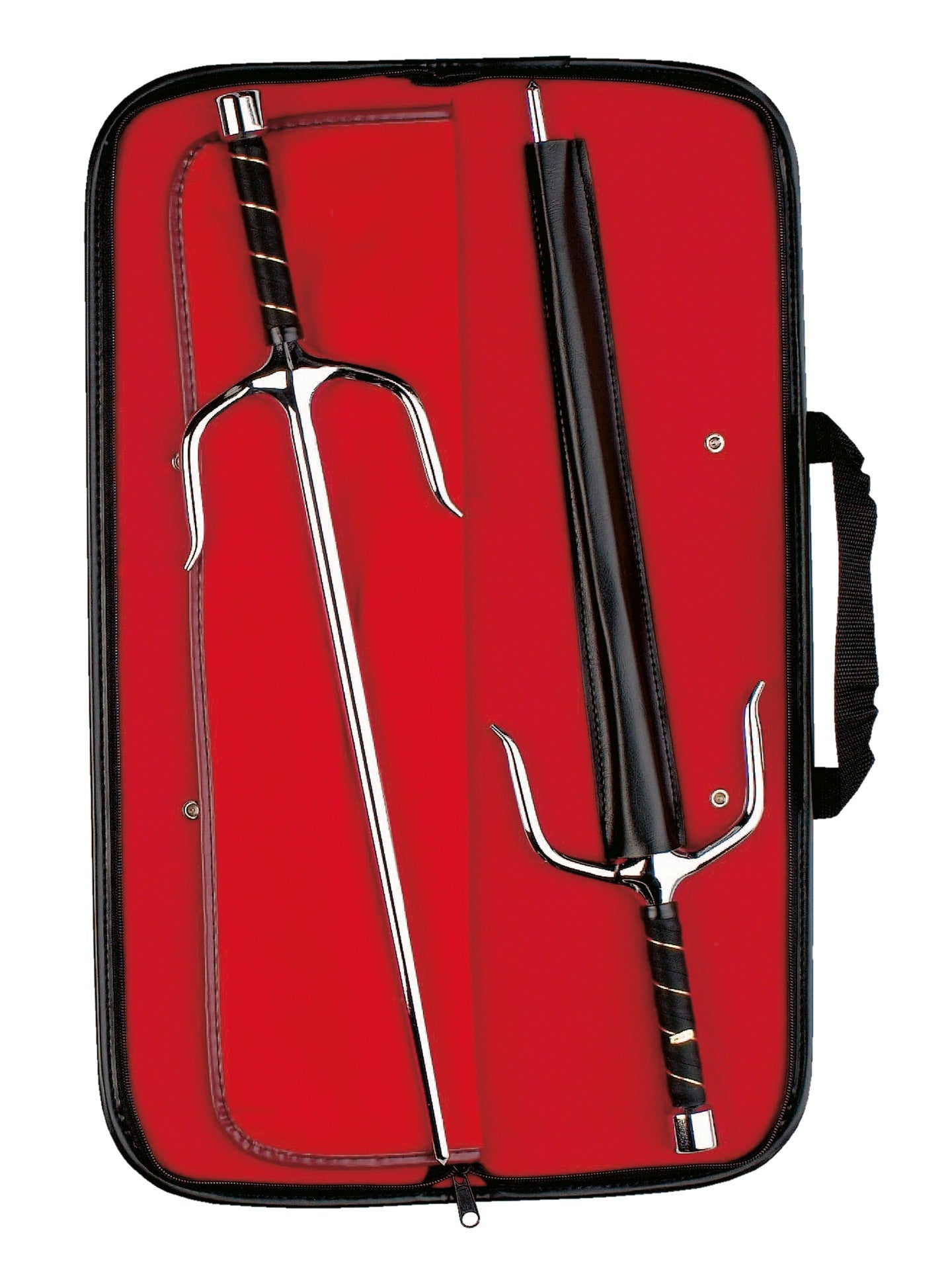 Sai case