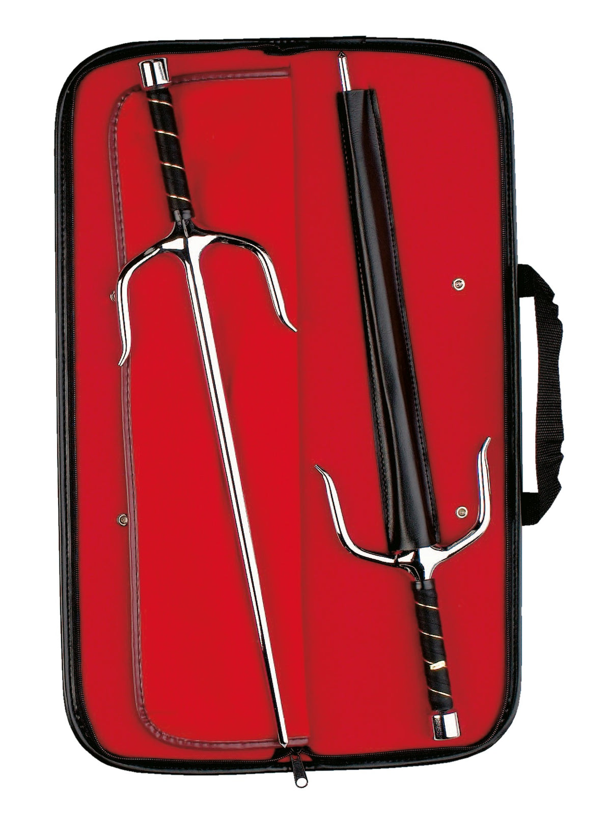 Sai case