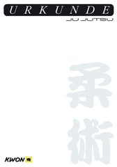 Urkunde Ju Jutsu