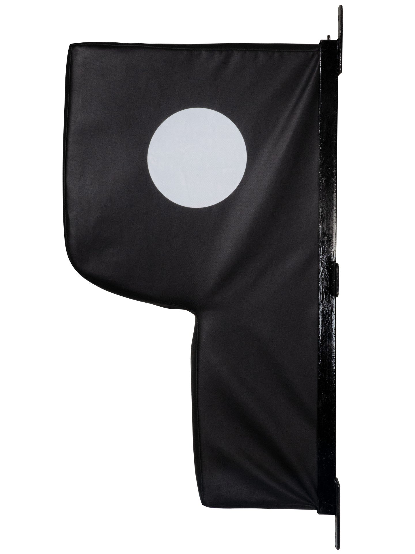 Wall strike shield