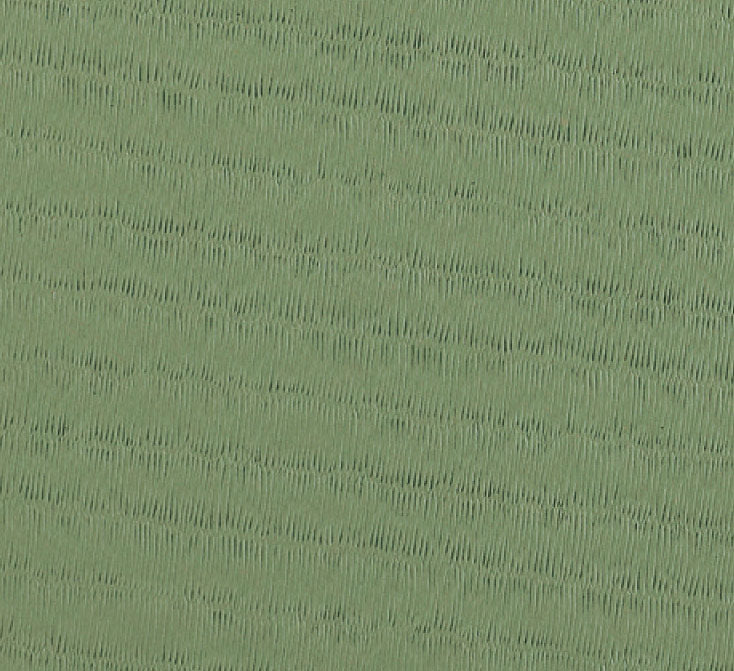 RHODE TATAMI Judo mat Kasei RG 200