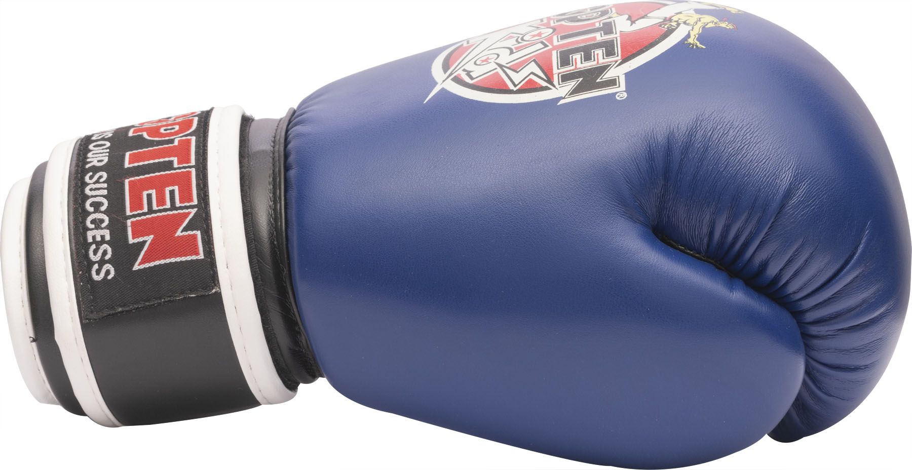 Boxhandschuhe „TOP TEN KIDS“