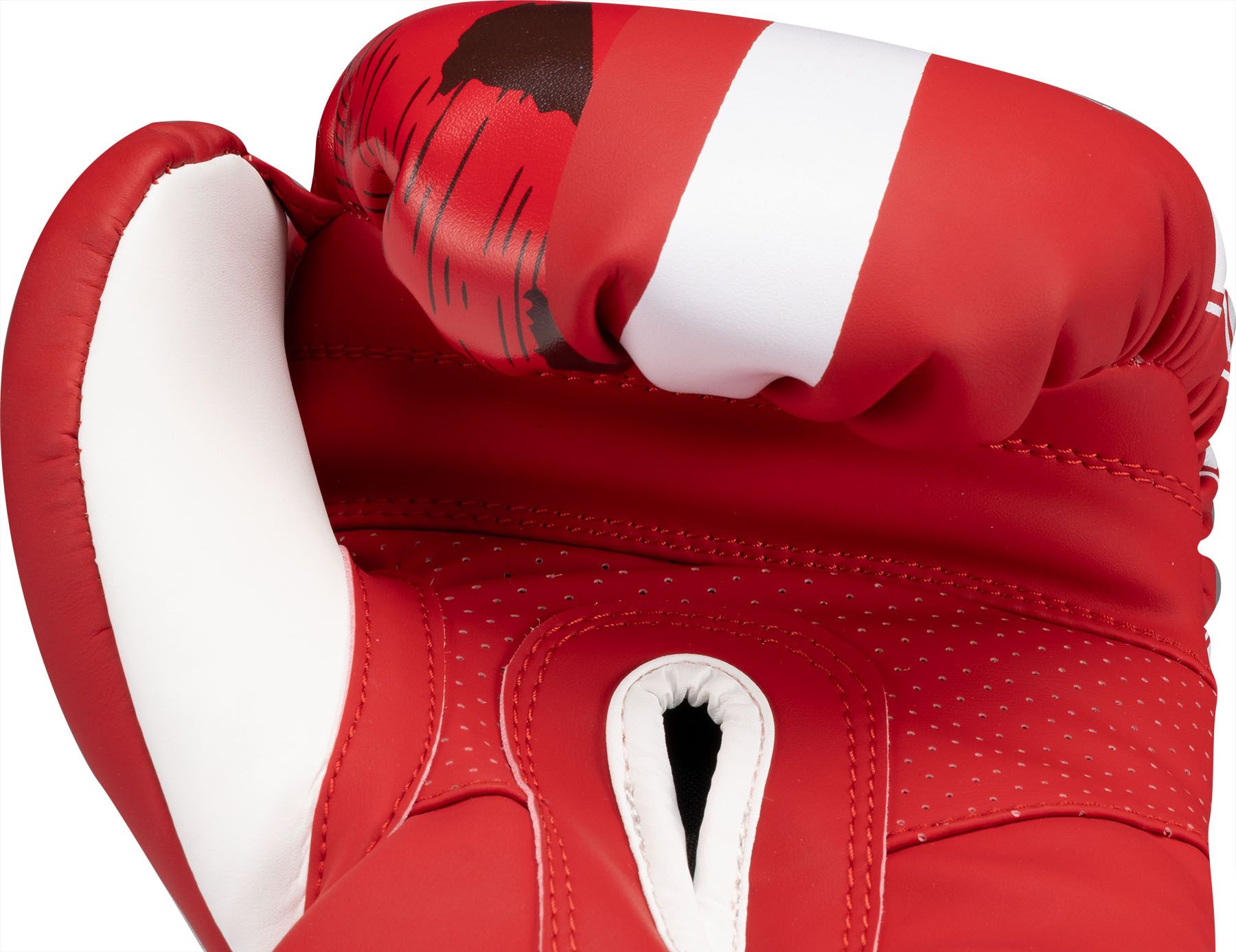 Boxhandschuhe „WAKO NTB Marks“
