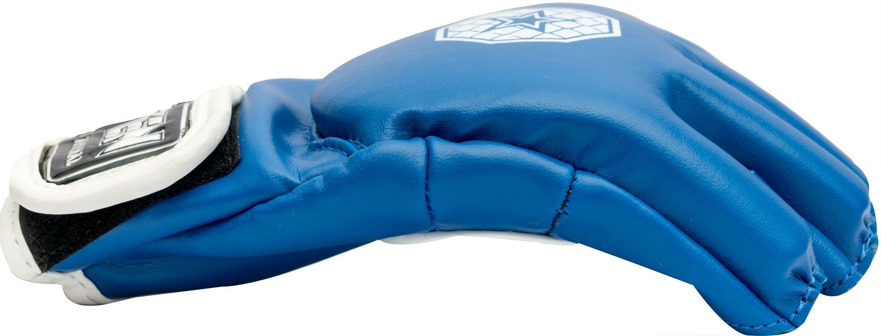 MMA Handschuhe „Striking C-Type“