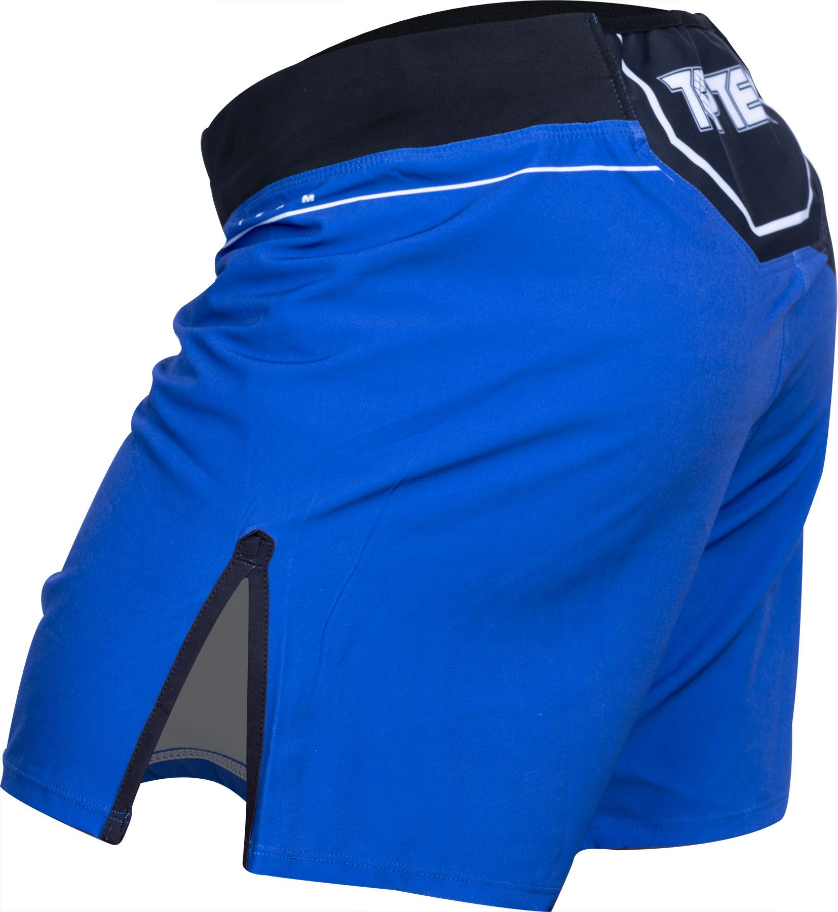 MMA-Shorts „Fight Team“
