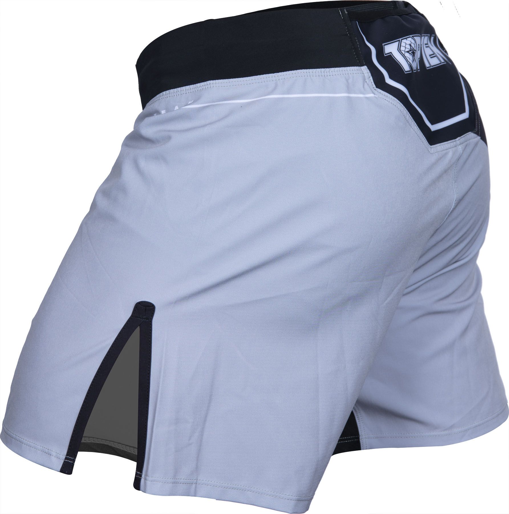 MMA-Shorts „Fight Team“