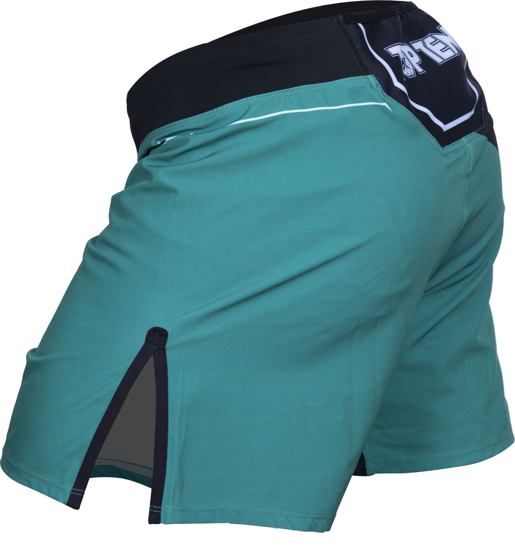 MMA-Shorts „Fight Team“