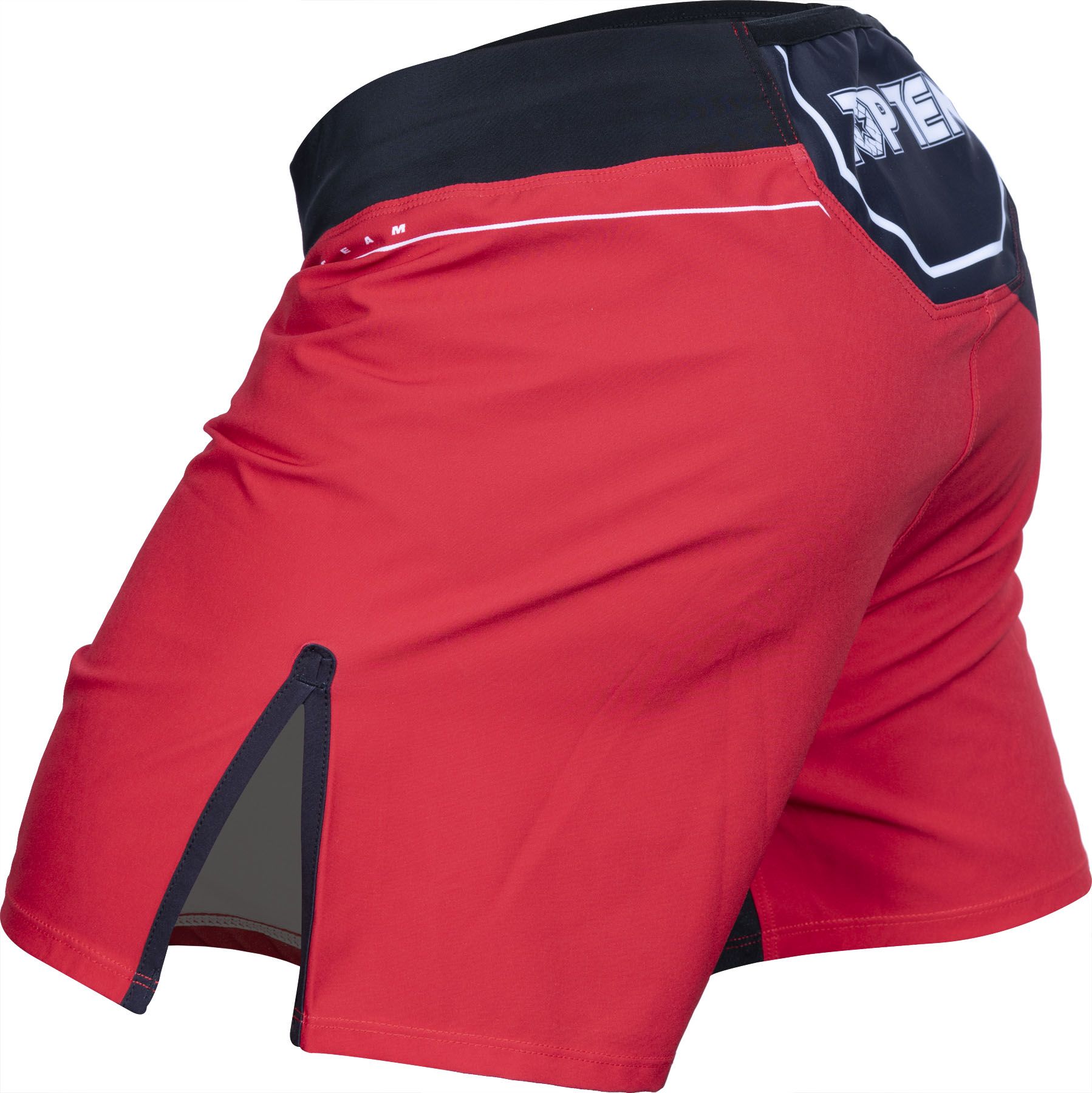 MMA-Shorts „Fight Team“