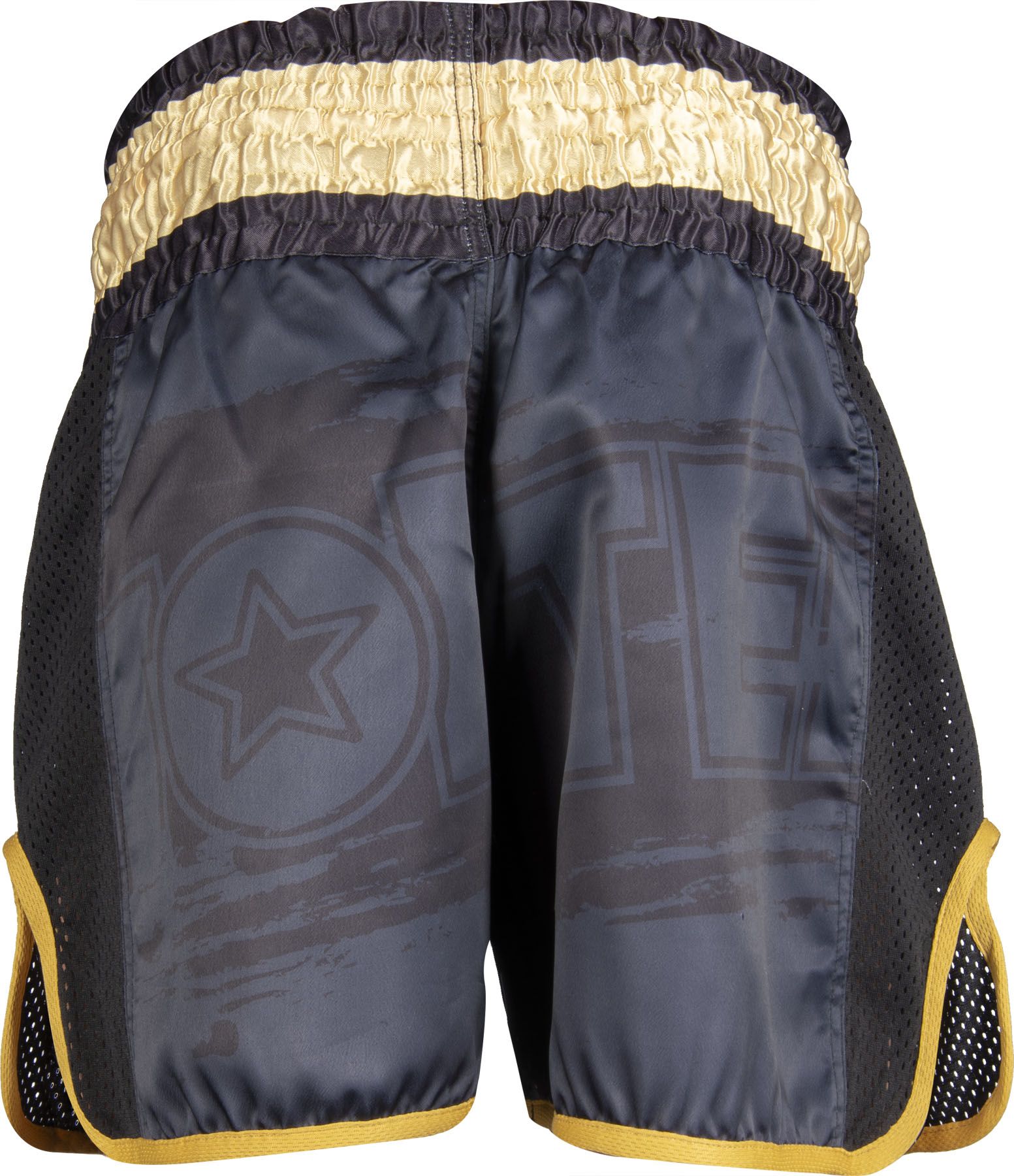 Kickbox-Shorts „Power Ink“