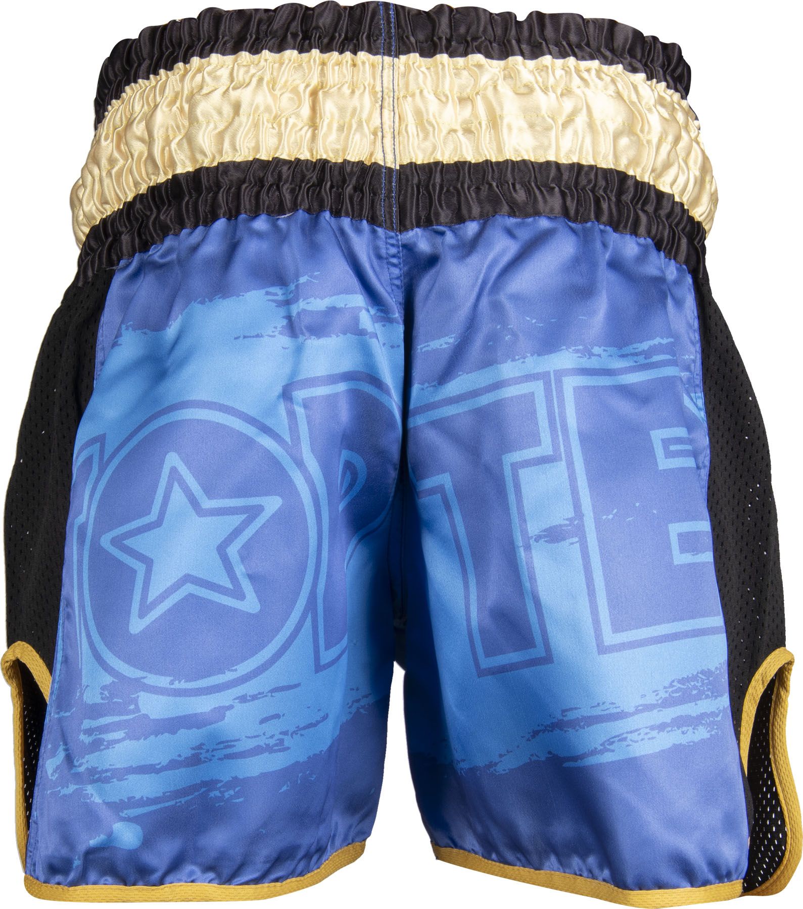 Kickbox-Shorts „Power Ink“