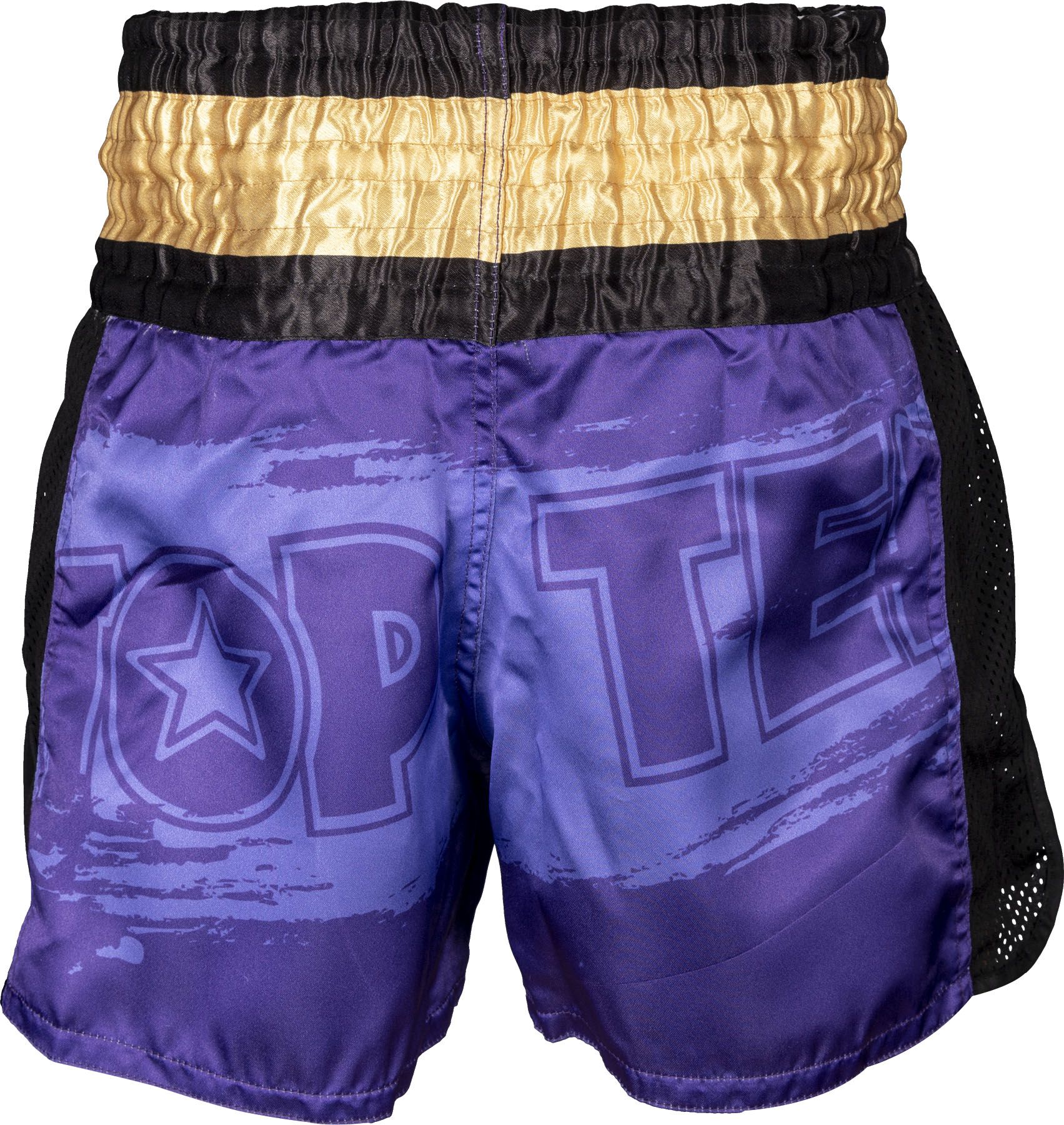Kickbox-Shorts „Power Ink“
