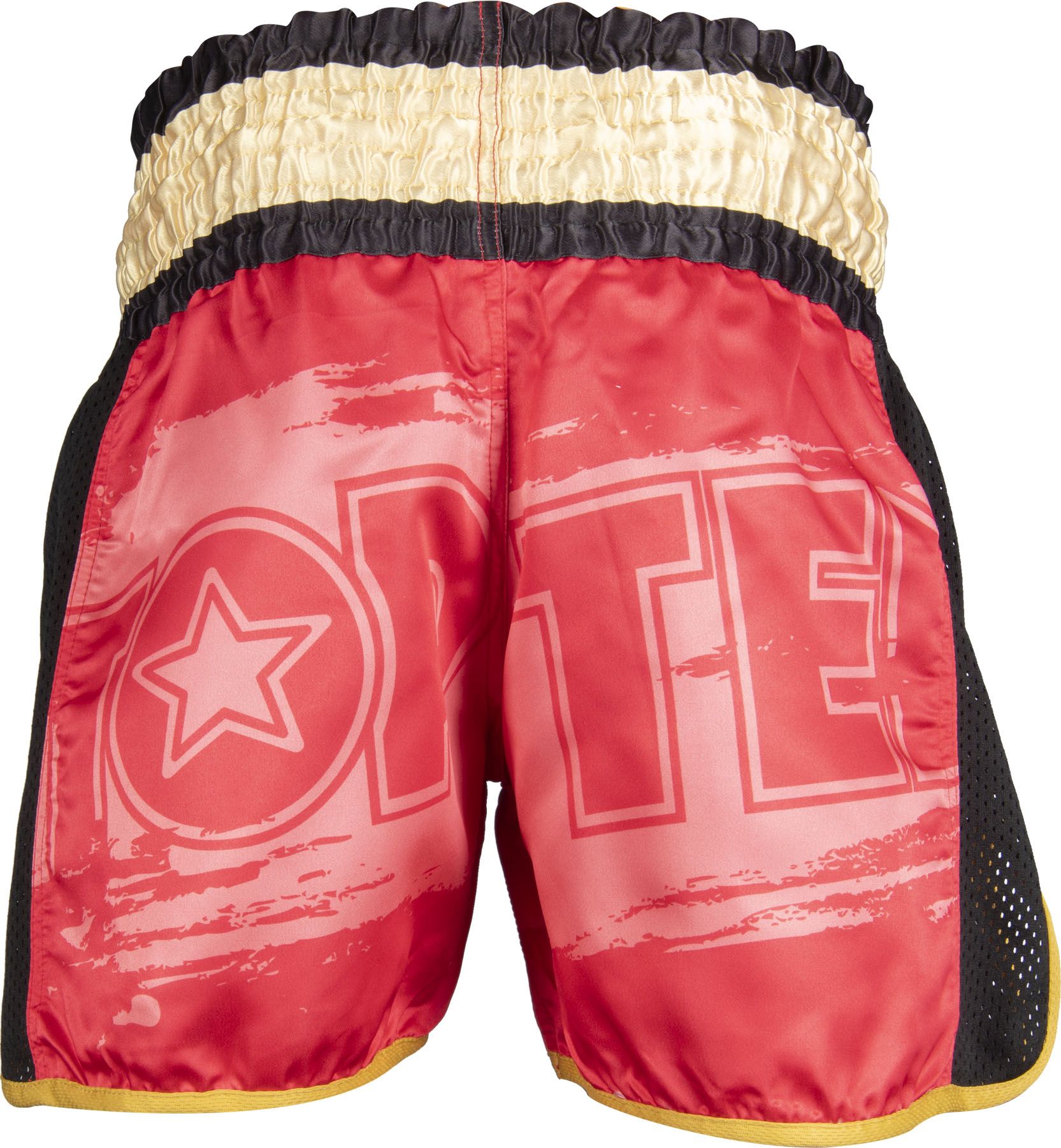 Kickbox-Shorts „Power Ink“