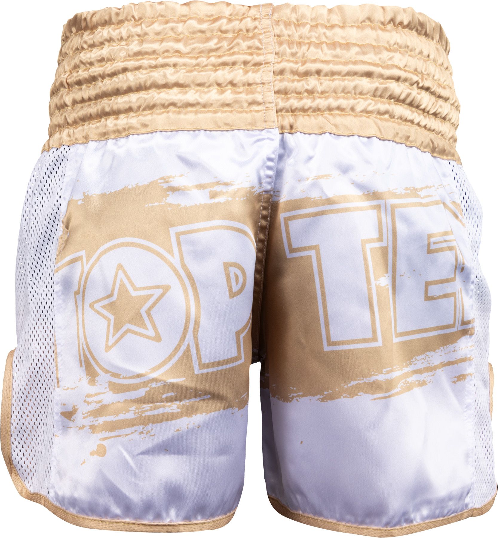 Kickbox-Shorts „Power Ink“
