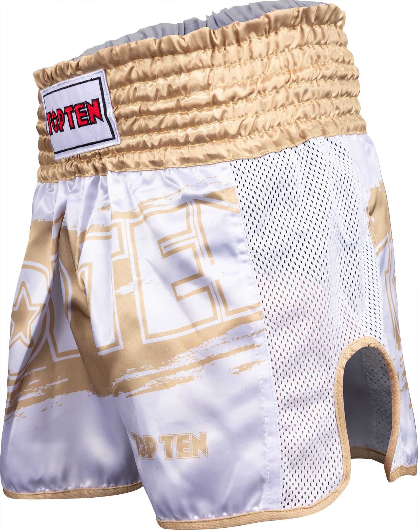 Kickbox-Shorts „Power Ink“