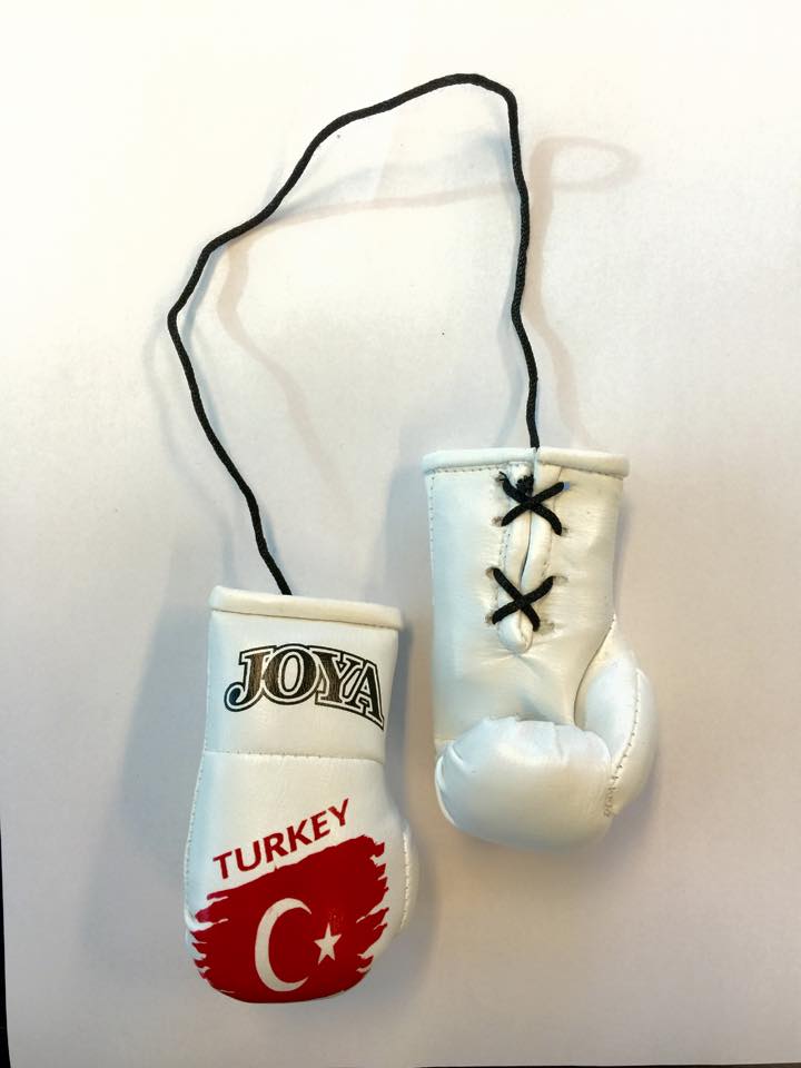 Joya Car Hanger